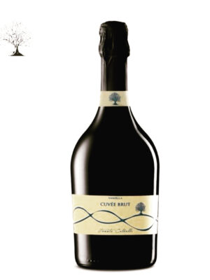 бяло вино - Висок клас бяло пенливо вино от регион Венето